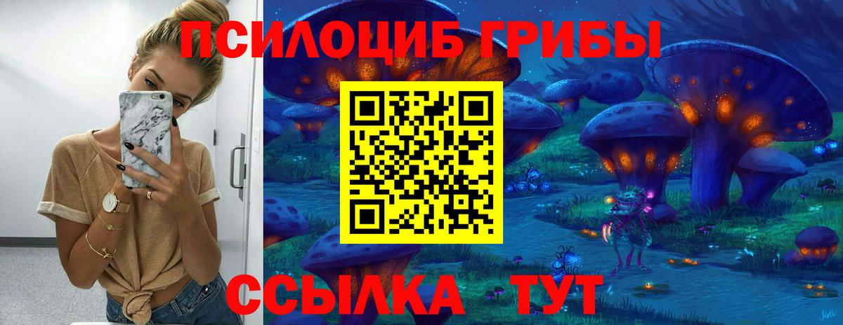 Псилоцибиновые грибы Psilocybe  Вход с VPN  Киреевск 